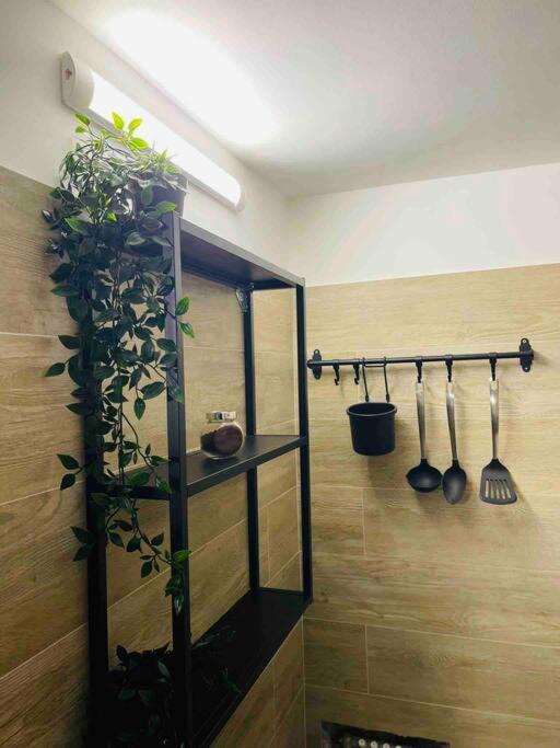 Bella Sicilia Apartment Палермо Екстериор снимка